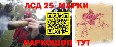 ГАЛЛЮЦИНОГЕННЫЕ ГРИБЫ Надым