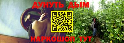 шишки Гусев