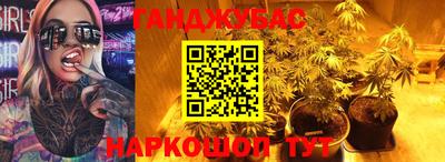 шишки Гусев