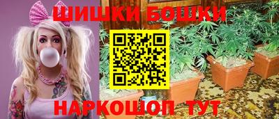 шишки Гусев